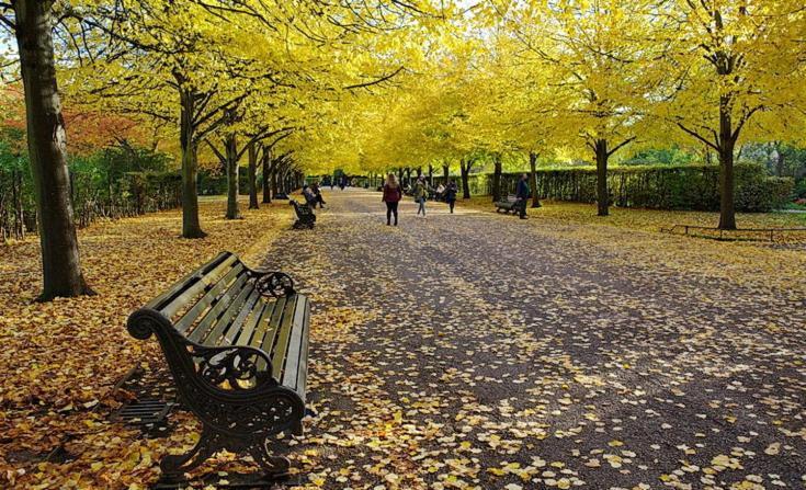 Londwell, Regents Park & Abbey Road Luxury Londra